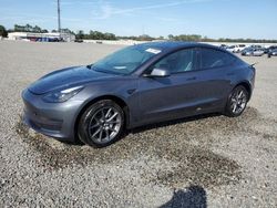 Tesla Model 3 salvage cars for sale: 2023 Tesla Model 3