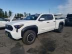 2024 Toyota Tacoma Double Cab