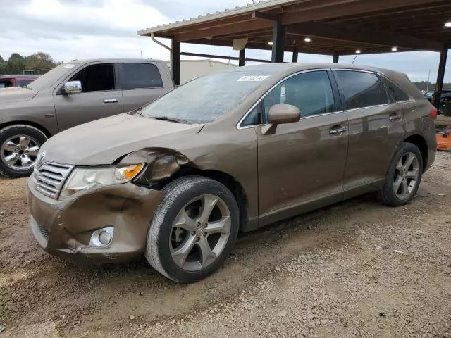 2009 Toyota Venza