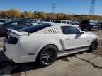 2013 Ford Mustang GT