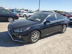 Salvage cars for sale at Indianapolis, IN auction: 2019 Hyundai Sonata SE