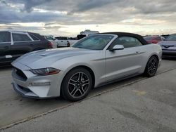 Salvage cars for sale at Riverview, FL auction: 2019 Ford Mustang