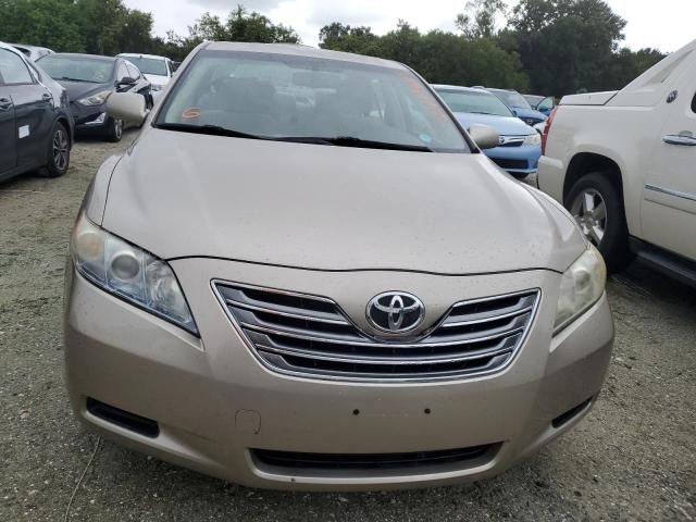 2009 Toyota Camry Hybrid