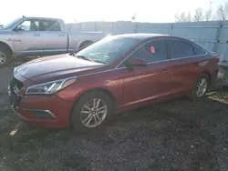 Salvage cars for sale from Copart Greenwood, NE: 2016 Hyundai Sonata SE