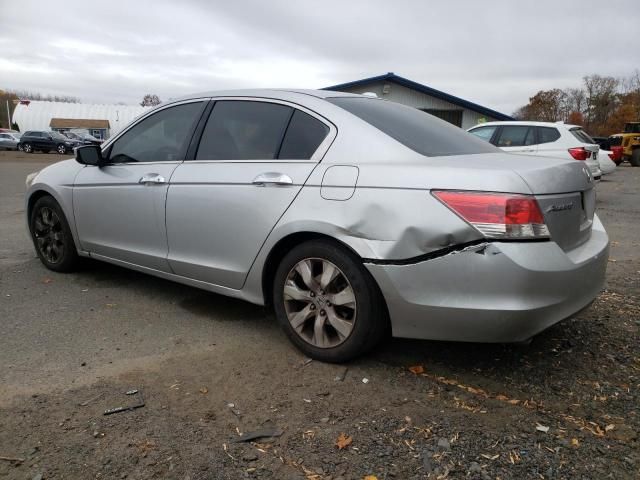 2010 Honda Accord EXL