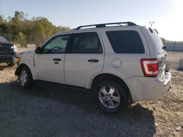 2009 Ford Escape XLT