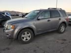 2008 Ford Escape HEV