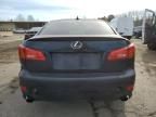 2008 Lexus IS 250