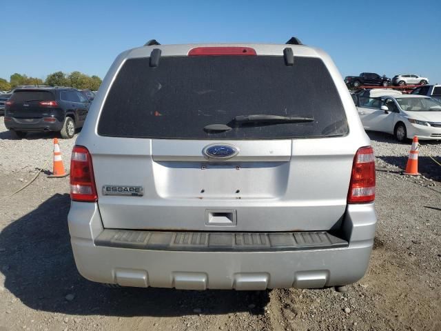 2012 Ford Escape XLT