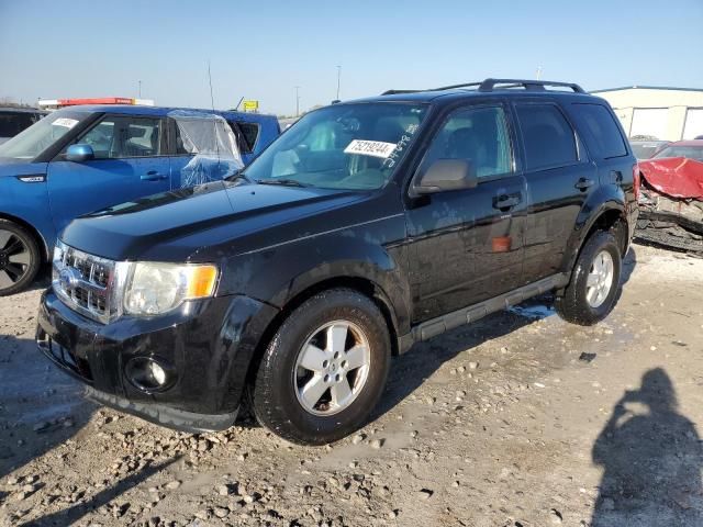 2012 Ford Escape XLT