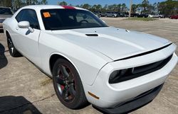 Salvage cars for sale at Riverview, FL auction: 2013 Dodge Challenger SXT