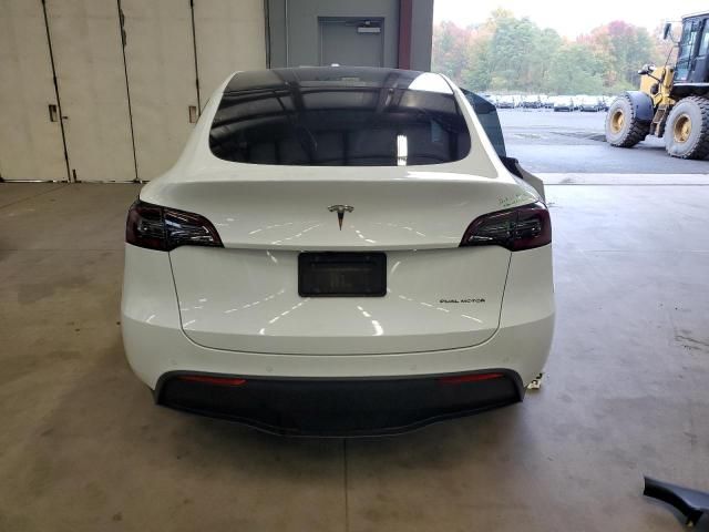 2020 Tesla Model Y