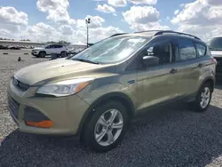 Ford salvage cars for sale: 2013 Ford Escape S