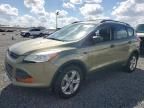 2013 Ford Escape S