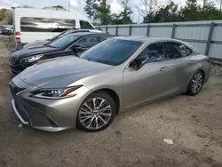 Salvage cars for sale at Riverview, FL auction: 2019 Lexus ES 350