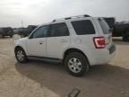 2009 Ford Escape Limited