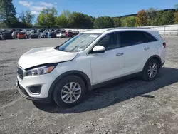 KIA Vehiculos salvage en venta: 2017 KIA Sorento LX