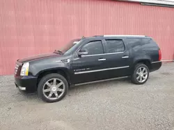 2009 Cadillac Escalade ESV Luxury en venta en London, ON