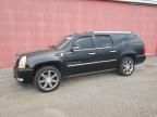 2009 Cadillac Escalade ESV Luxury