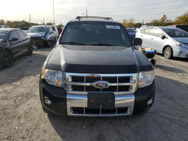 2012 Ford Escape Limited