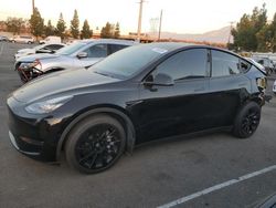 Salvage cars for sale from Copart Rancho Cucamonga, CA: 2021 Tesla Model Y