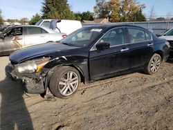 Honda salvage cars for sale: 2011 Honda Accord EXL