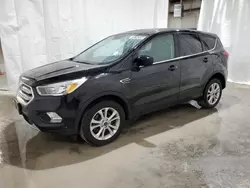 Salvage cars for sale at Leroy, NY auction: 2019 Ford Escape SE