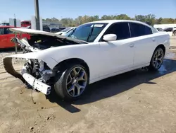 Dodge Charger salvage cars for sale: 2015 Dodge Charger SXT