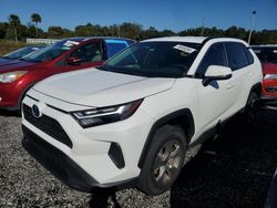 Salvage cars for sale at Riverview, FL auction: 2023 Toyota Rav4 XLE