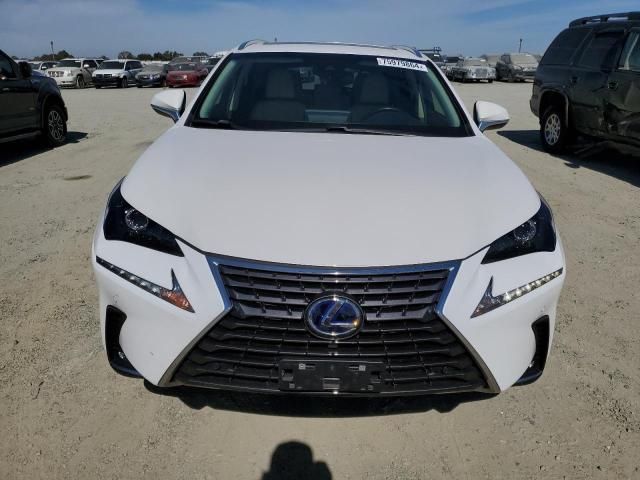 2019 Lexus NX 300H