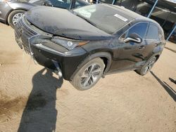 Salvage cars for sale at Brighton, CO auction: 2019 Lexus NX 300 Base