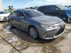 2020 Lexus ES 350