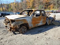 Salvage cars for sale at Center Rutland, VT auction: 2011 Toyota Tacoma Access Cab