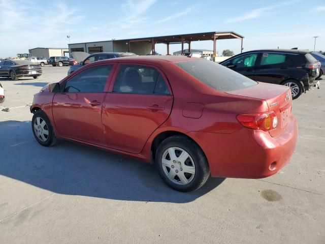 2010 Toyota Corolla Base