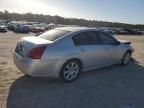 2007 Nissan Maxima SE