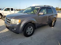 Salvage cars for sale at Arcadia, FL auction: 2008 Ford Escape HEV