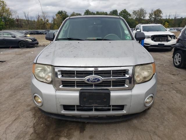 2010 Ford Escape Hybrid