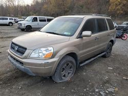 Honda Pilot Vehiculos salvage en venta: 2005 Honda Pilot EX