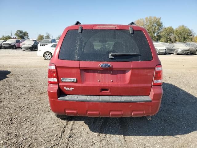 2010 Ford Escape XLT