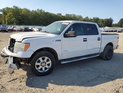 Ford salvage cars for sale: 2013 Ford F150 Supercrew