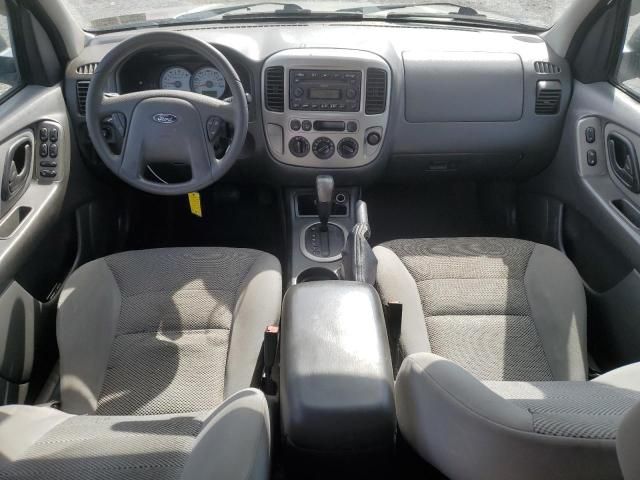 2005 Ford Escape XLT