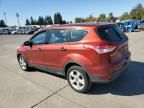 2014 Ford Escape S