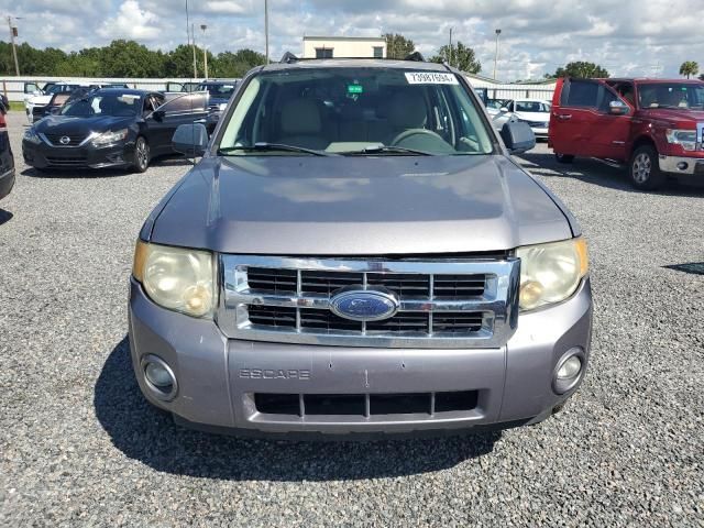 2008 Ford Escape XLT