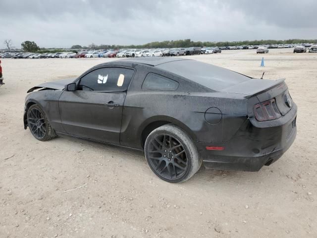 2013 Ford Mustang