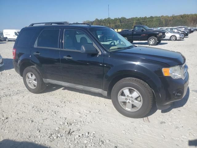 2009 Ford Escape XLT