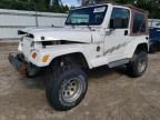 2001 Jeep Wrangler / TJ Sahara