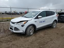 Ford Escape se salvage cars for sale: 2013 Ford Escape SE