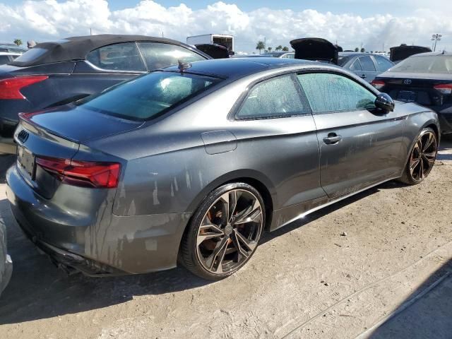 2024 Audi S5 Premium Plus