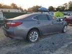 2013 Lexus ES 300H