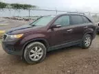 2011 KIA Sorento Base